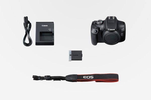 Canon EOS 2000D Test - Die perfekte Einsteiger DSLR?